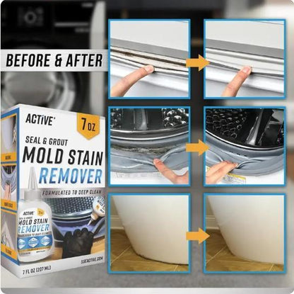 MoldErase™ Gel Cleaner