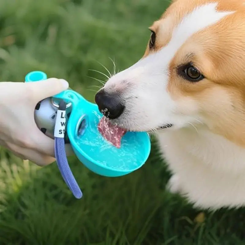 DogGo Bottle