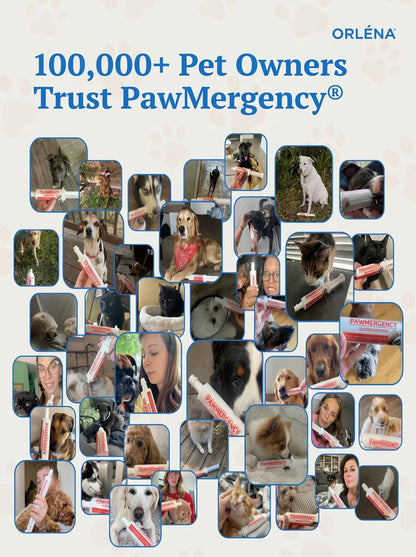 PawMergency®  Your Dog's First Line of Defense